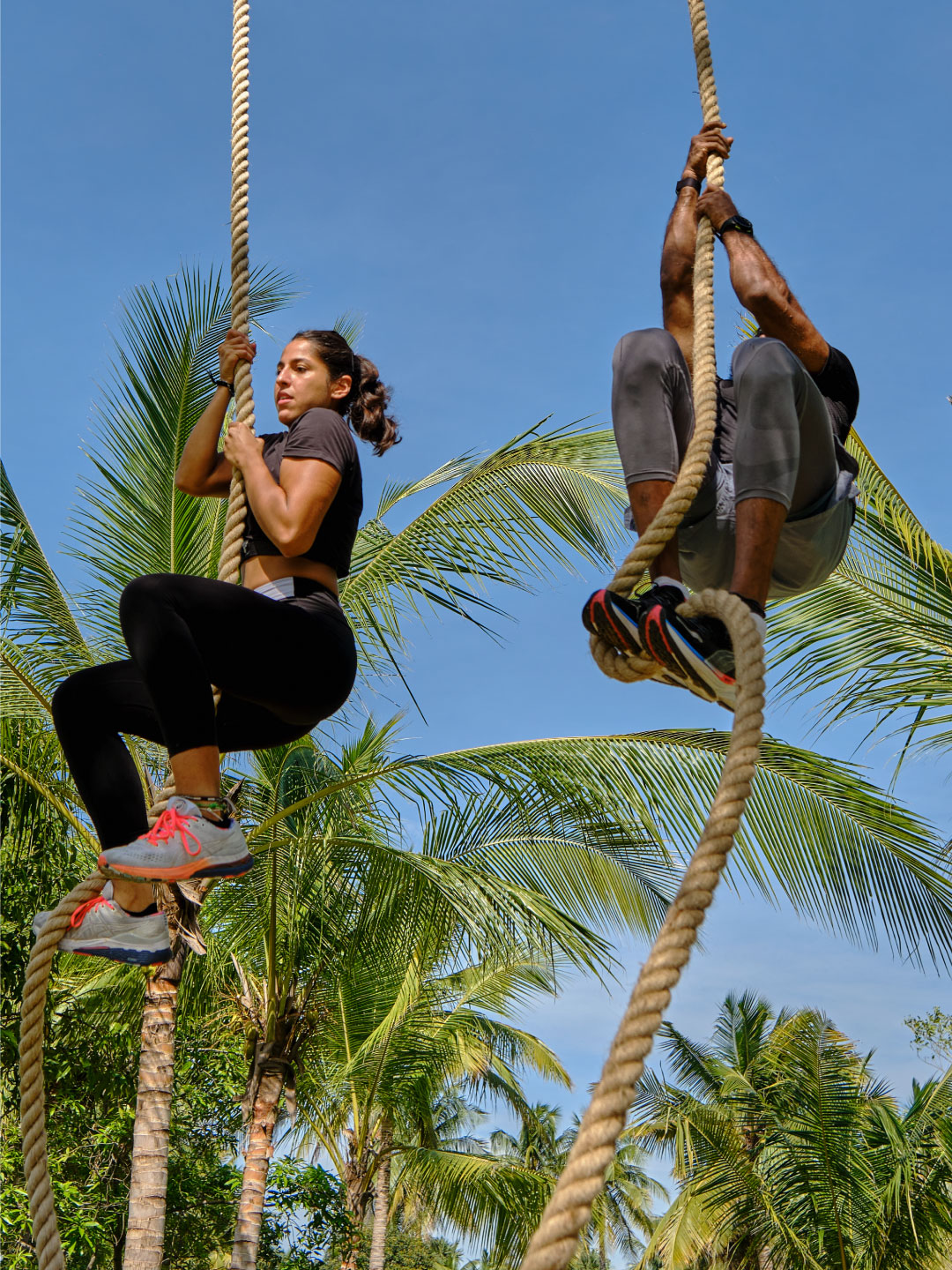 Dual rope climb challenge at Sol Fitness with tropical backdrop