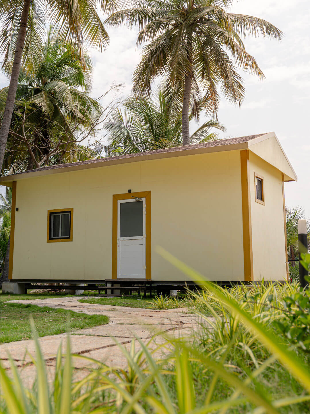 Cozy private guest cabin surrounded by palm trees at Sol Fitness
